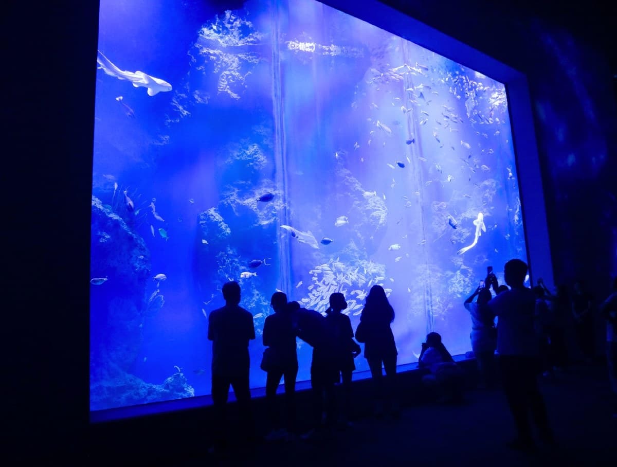 台灣動物園、水族館推薦Top10!逛一整天都不膩,這2026新景點還可互動 台灣動物園、水族館推薦Top10!逛一整天都不膩,這2026新景點還可互動