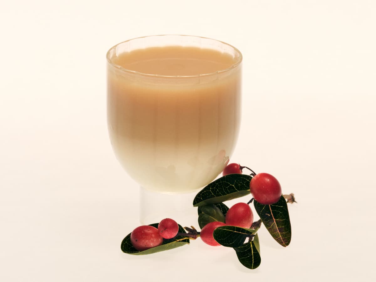 鶴茶樓加LINE免費送飲料