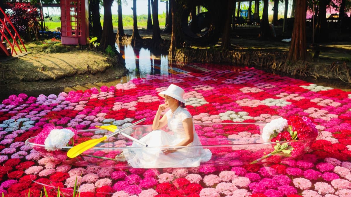 粉紅系花園回歸！落羽松林旁「水上繡球花海」夢幻美拍，坐透明水晶船賞花