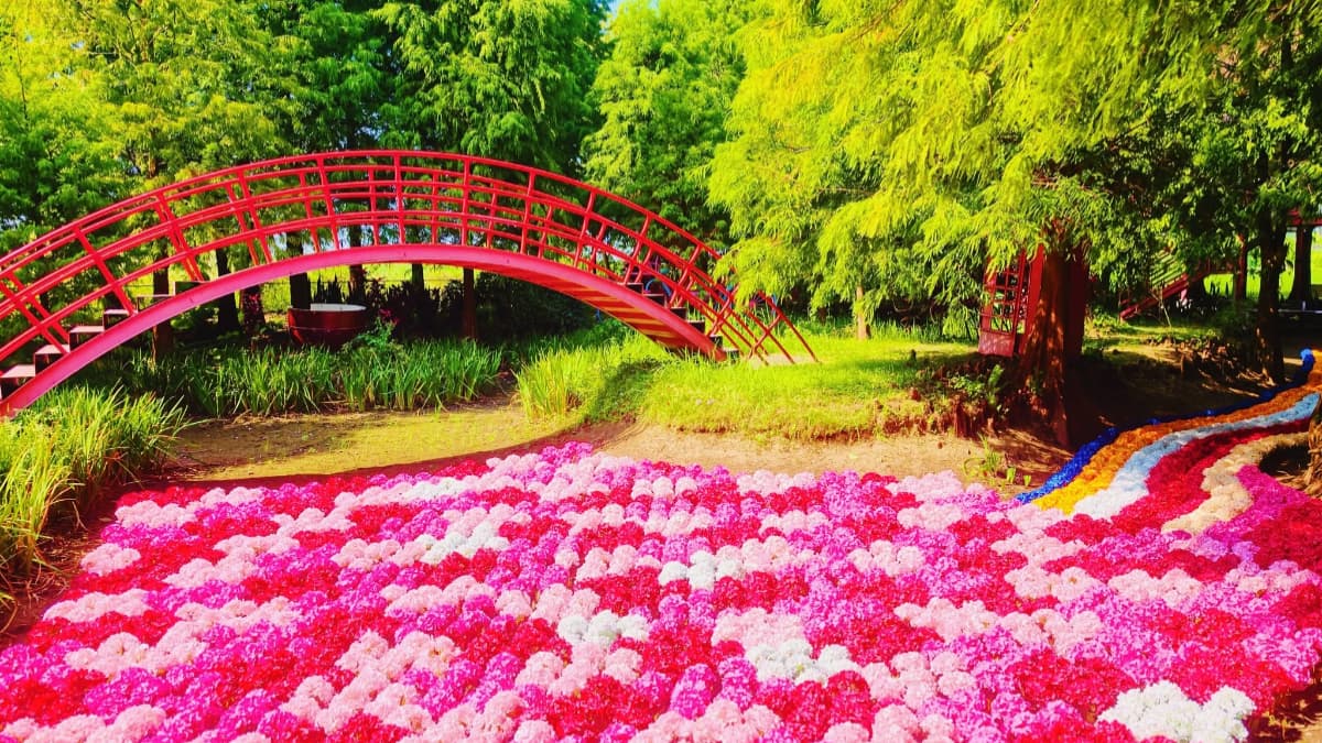 粉紅系花園回歸！落羽松林旁「水上繡球花海」夢幻美拍，坐透明水晶船賞花