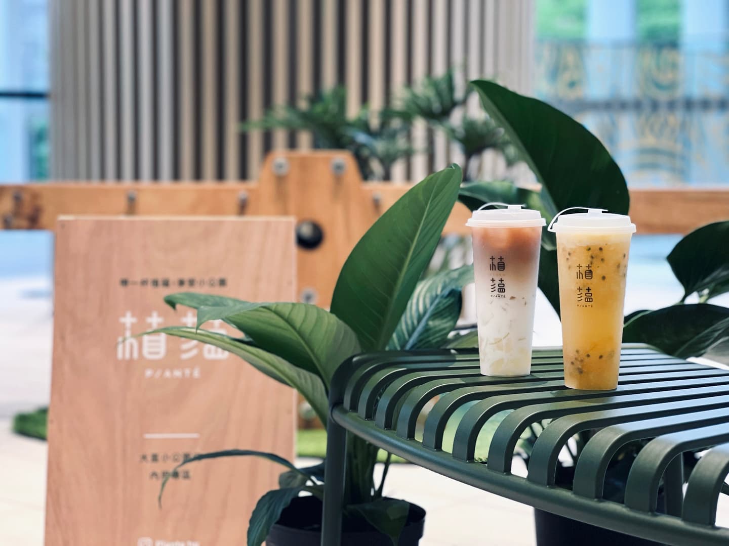 松菸最大古物市集免費逛！「台北蚤之市」200家跨國古董挖寶，光復連假快衝