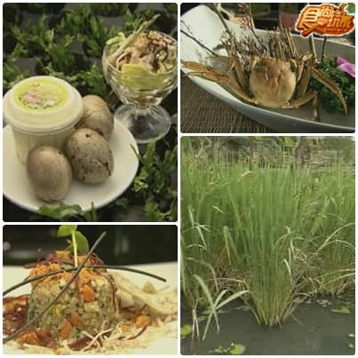 熱血蘭陽之美食黃金傳說