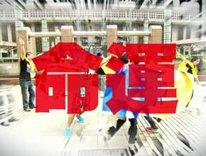 夏日熱鬥篇 命運規劃局4