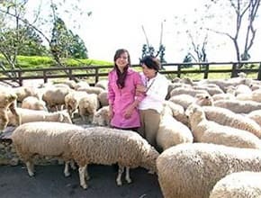 清境埔里小吃 