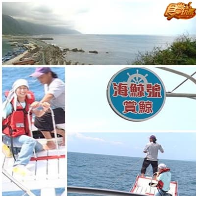 賞鯨泛舟花蓮行