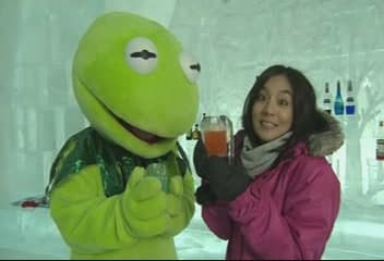 北海道青蛙當家 A咖寵物出頭天