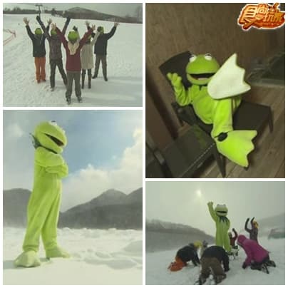 北海道青蛙當家 A咖寵物出頭天