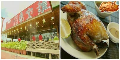 秋冬不怕冷 嘉義愈玩愈溫暖