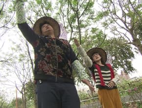 硬頸團出發!! 勤儉持家遊台中