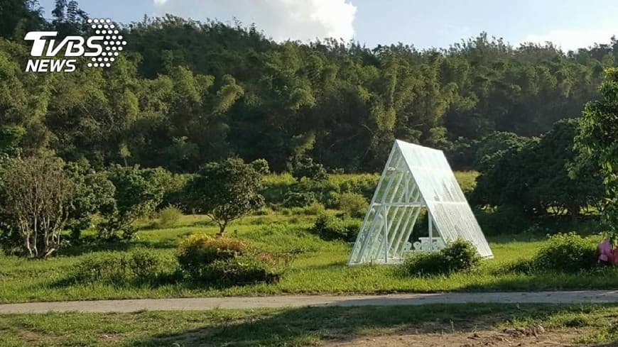 濱海版「忘憂森林」　南部秘境露營區曝光