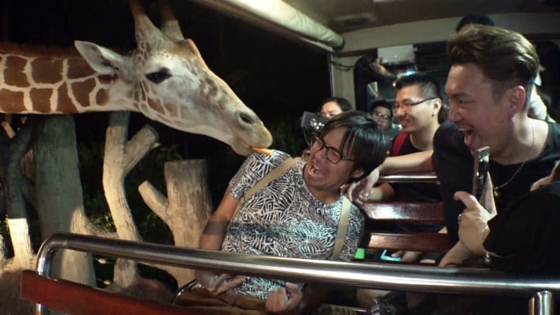 想被長頸鹿舔! 在夜晚的動物園與巨獸接觸