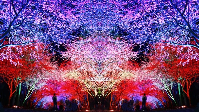 免飛日本!台灣這3處「夜櫻」超夢幻
