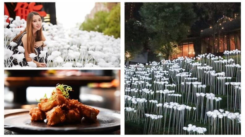 台中「玫瑰燈海」餐廳12/8開幕 連2日「光頭」免費吃炸雞