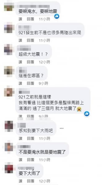 馬陸大軍路上蠕動亂竄!網友嚇喊「大地震前兆」,專家:1原因誘使出土避難 馬陸大軍路上蠕動亂竄!網友嚇喊「大地震前兆」,專家:1原因誘使出土避難