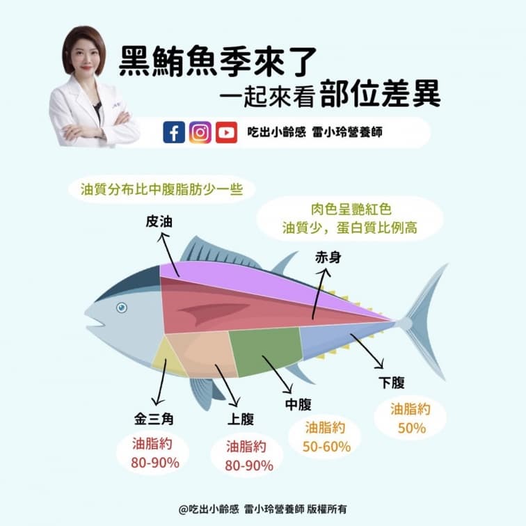 黑鮪魚季正肥美!1張圖看6部位口感、價格,專家點名3族要少吃 黑鮪魚季正肥美!1張圖看6部位口感、價格,專家點名3族要少吃