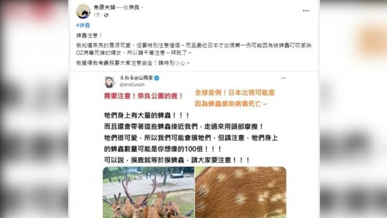 去日本奈良公園別摸鹿!小心被蜱蟲叮咬,專家:輕則皮膚紅腫、重可致死 去日本奈良公園別摸鹿!小心被蜱蟲叮咬,專家:輕則皮膚紅腫、重可致死