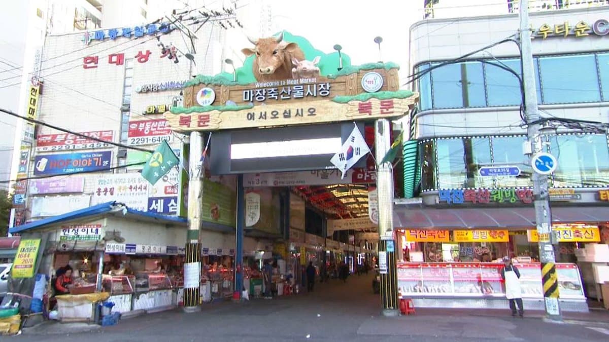 日本和牛閃邊站 韓國人都奔這裡猛吃牛 日本和牛閃邊站 韓國人都奔這裡猛吃牛