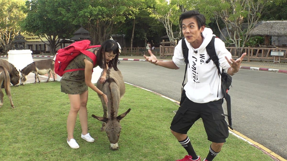 想被長頸鹿舔! 在夜晚的動物園與巨獸接觸 想被長頸鹿舔! 在夜晚的動物園與巨獸接觸