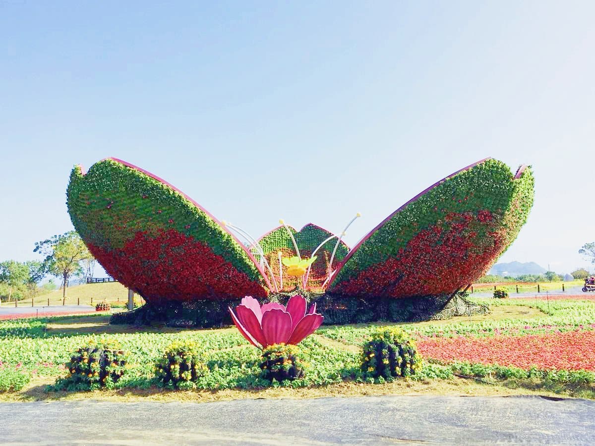 周末到「花毯節」踩點!22公頃、超過10萬株花草爭艷 周末到「花毯節」踩點!22公頃、超過10萬株花草爭艷