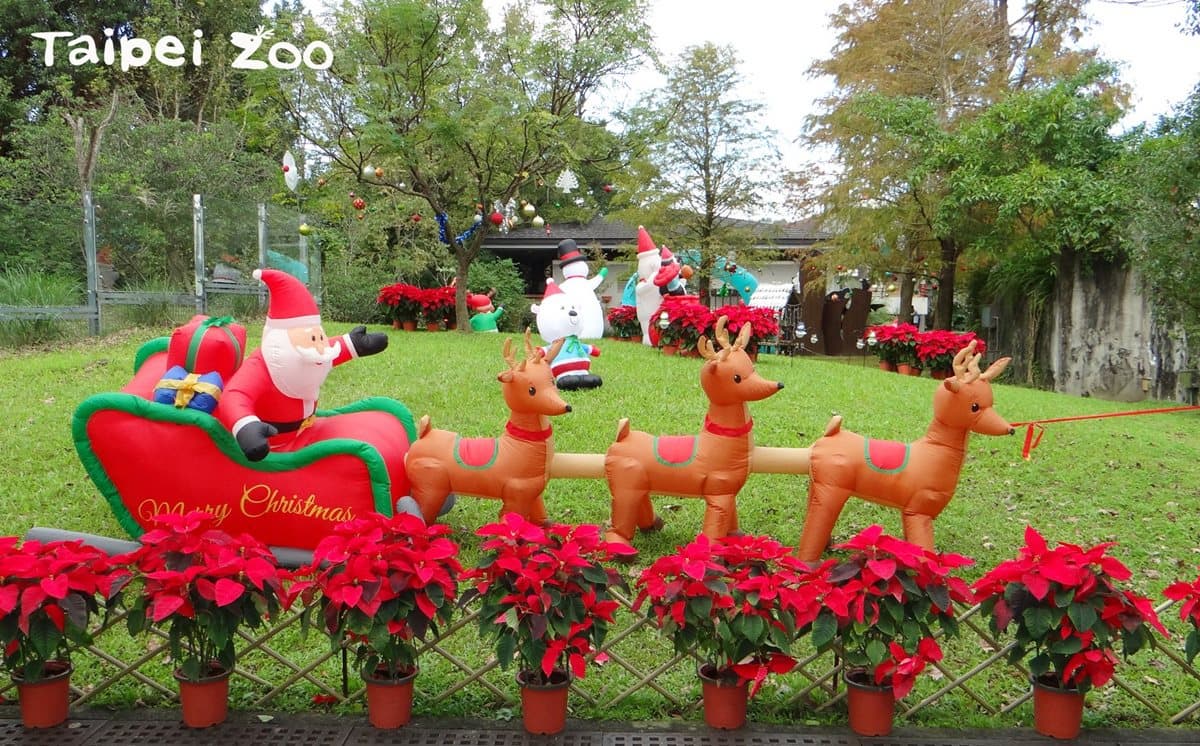 動物園過耶誕!新生寶寶初報到,動物保暖出奇招! 動物園過耶誕!新生寶寶初報到,動物保暖出奇招!
