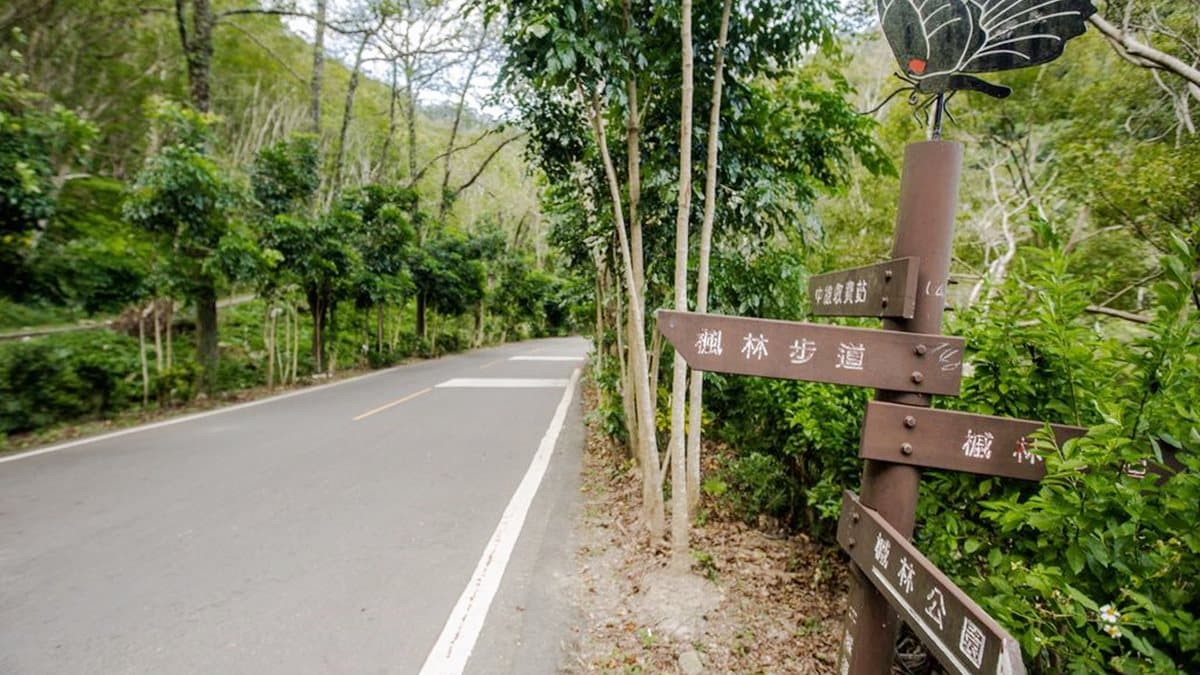 楓葉紅了!連假小旅行,深入4祕境捕捉火紅美景 楓葉紅了!連假小旅行,深入4祕境捕捉火紅美景