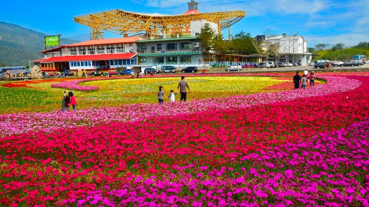 賞花季登場!7大花海祕境大公開 賞花季登場!7大花海祕境大公開