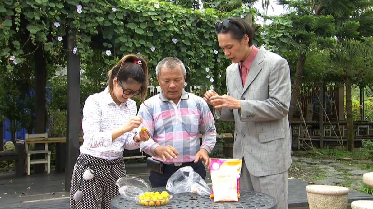 超甜橘子自己採 還可以DIY金棗蜜餞 超甜橘子自己採 還可以DIY金棗蜜餞