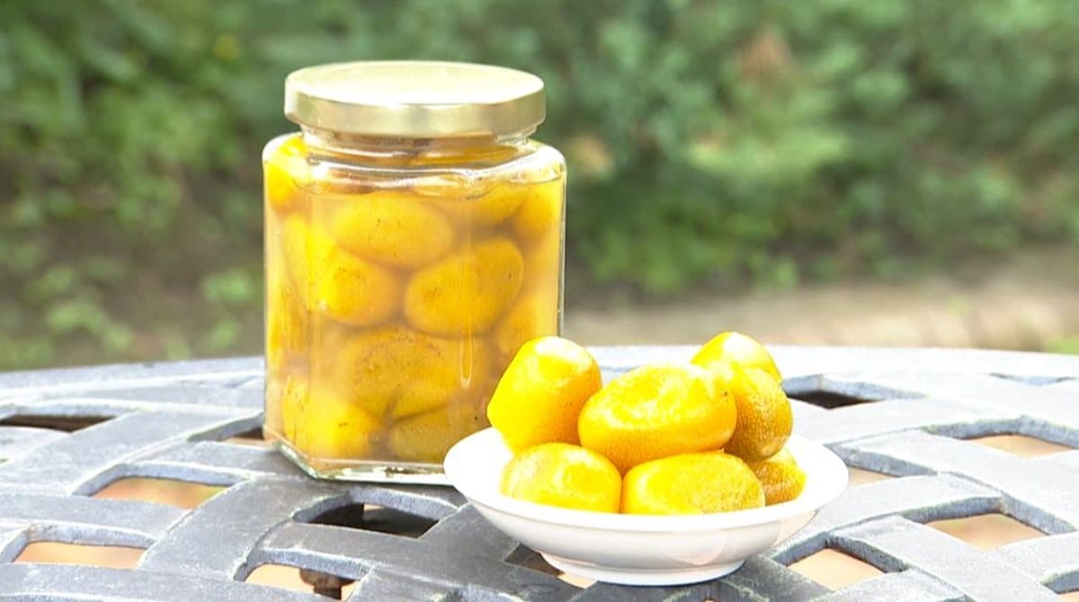 超甜橘子自己採 還可以DIY金棗蜜餞 超甜橘子自己採 還可以DIY金棗蜜餞