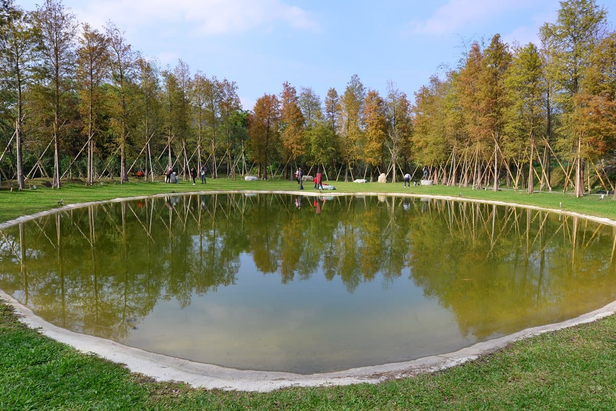 全台最浪漫落羽松祕境!心形求愛湖快門按不停 全台最浪漫落羽松祕境!心形求愛湖快門按不停