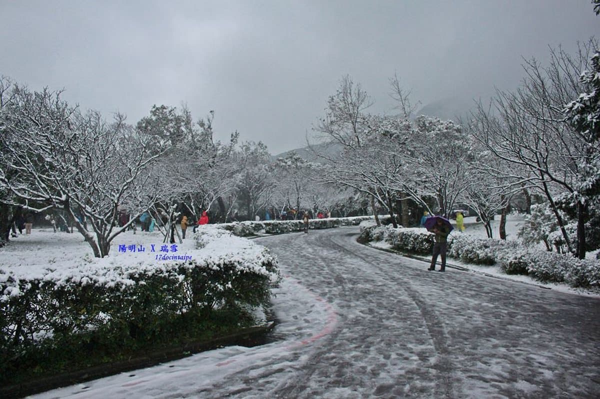 這週末台灣會下雪?霸王級寒流來襲雪景這裡看 這週末台灣會下雪?霸王級寒流來襲雪景這裡看