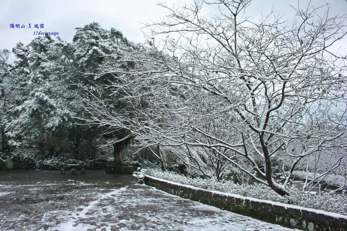這週末台灣會下雪?霸王級寒流來襲雪景這裡看 這週末台灣會下雪?霸王級寒流來襲雪景這裡看