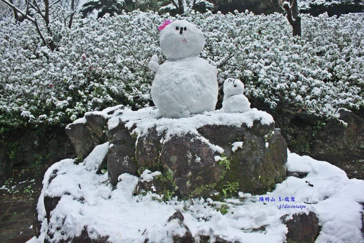 這週末台灣會下雪?霸王級寒流來襲雪景這裡看 這週末台灣會下雪?霸王級寒流來襲雪景這裡看