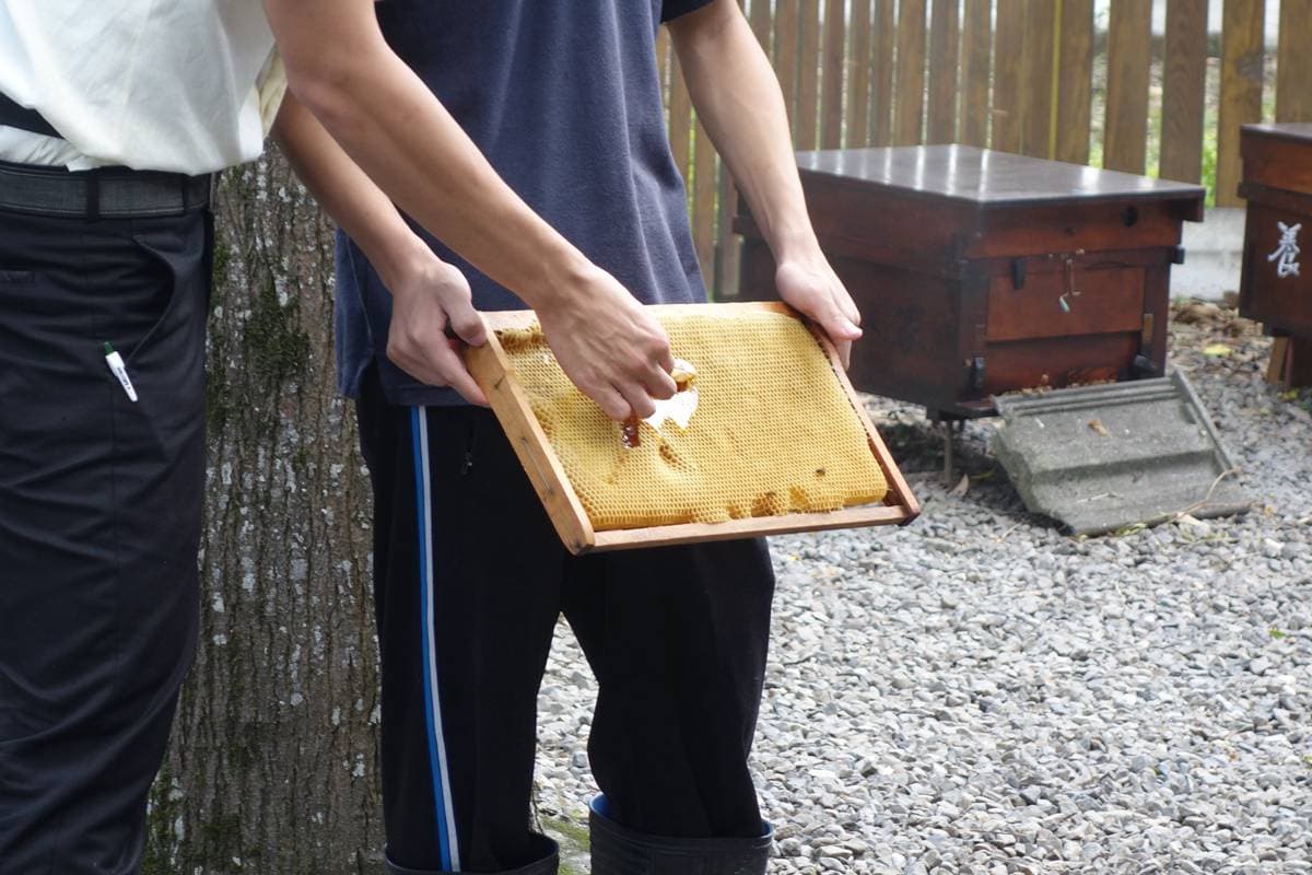 部落客帶路/睡天使醒惡魔 宜蘭遛小孩好去處 部落客帶路/睡天使醒惡魔 宜蘭遛小孩好去處