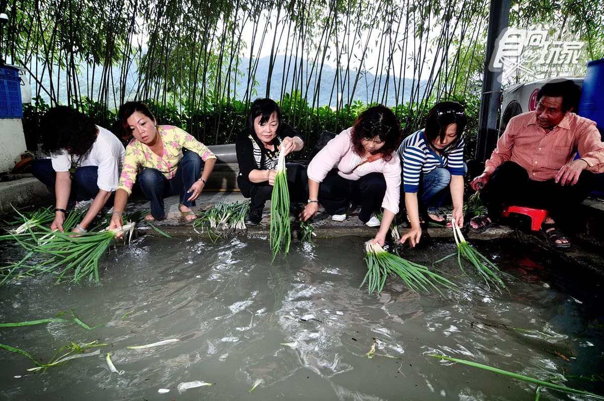 228賞花去 宜蘭賞櫻看花海一日遊攻略 228賞花去 宜蘭賞櫻看花海一日遊攻略