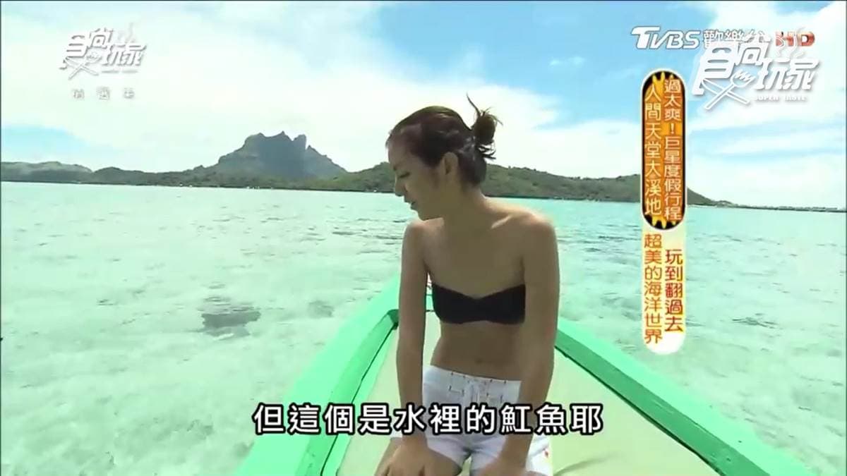 不是吧?魟魚在撒嬌 還可以超近距離看鯊魚! 不是吧?魟魚在撒嬌 還可以超近距離看鯊魚!