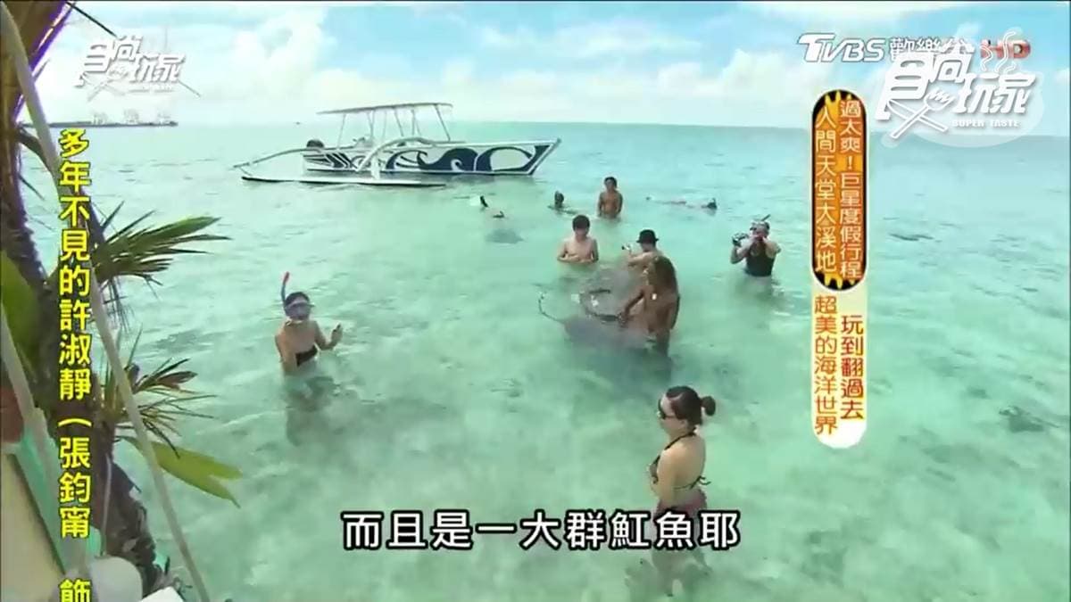 不是吧?魟魚在撒嬌 還可以超近距離看鯊魚! 不是吧?魟魚在撒嬌 還可以超近距離看鯊魚!
