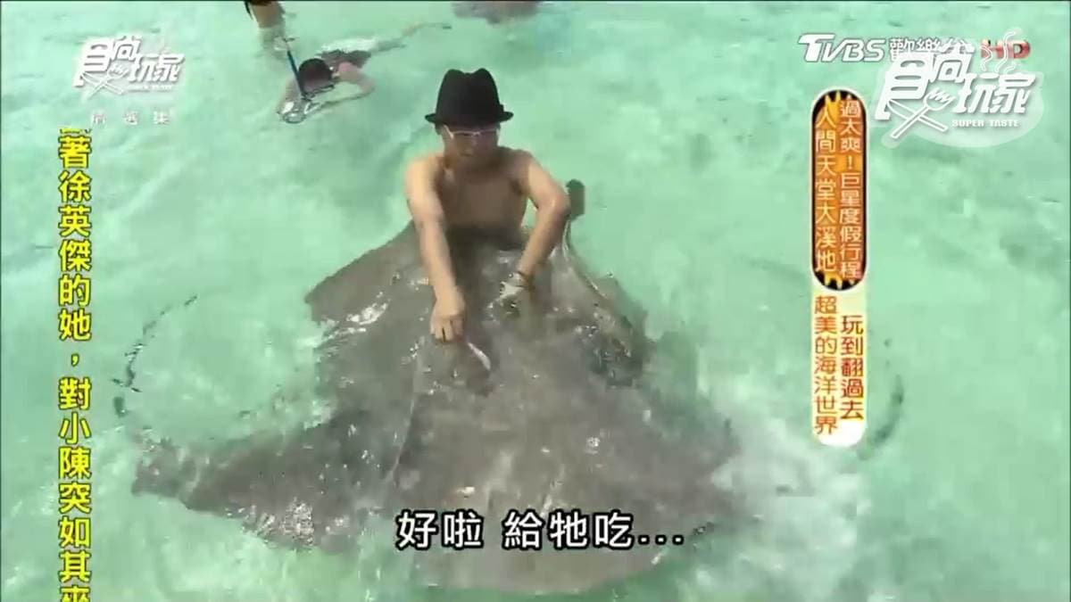 不是吧?魟魚在撒嬌 還可以超近距離看鯊魚! 不是吧?魟魚在撒嬌 還可以超近距離看鯊魚!