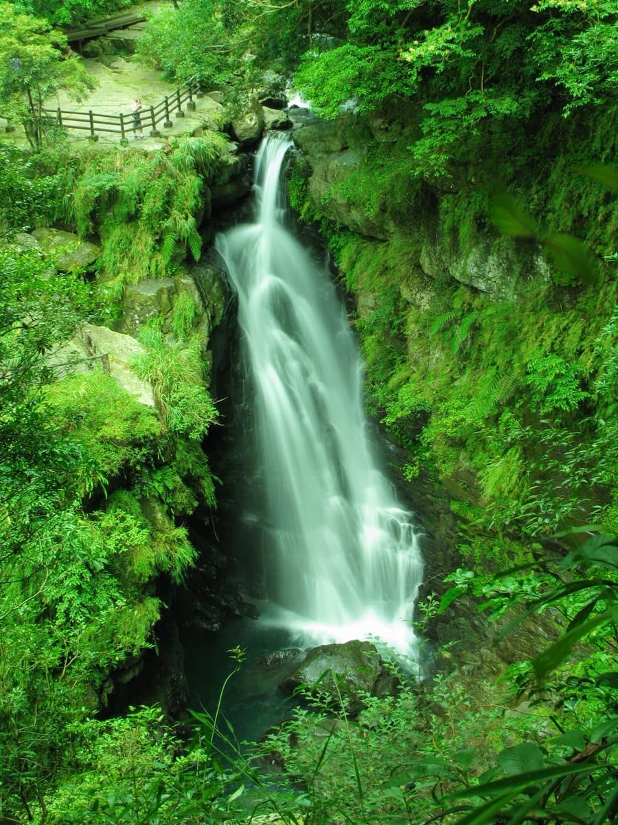 消暑涼方!三峽森林祕境小旅行:賞處女瀑布、吃鳥蛋肉圓、拍日本豪宅 消暑涼方!三峽森林祕境小旅行:賞處女瀑布、吃鳥蛋肉圓、拍日本豪宅