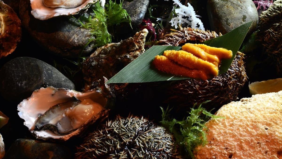 海鮮迷暴動了!飯店推「海鮮宴」馬糞海膽加價200元從6顆升級成12顆