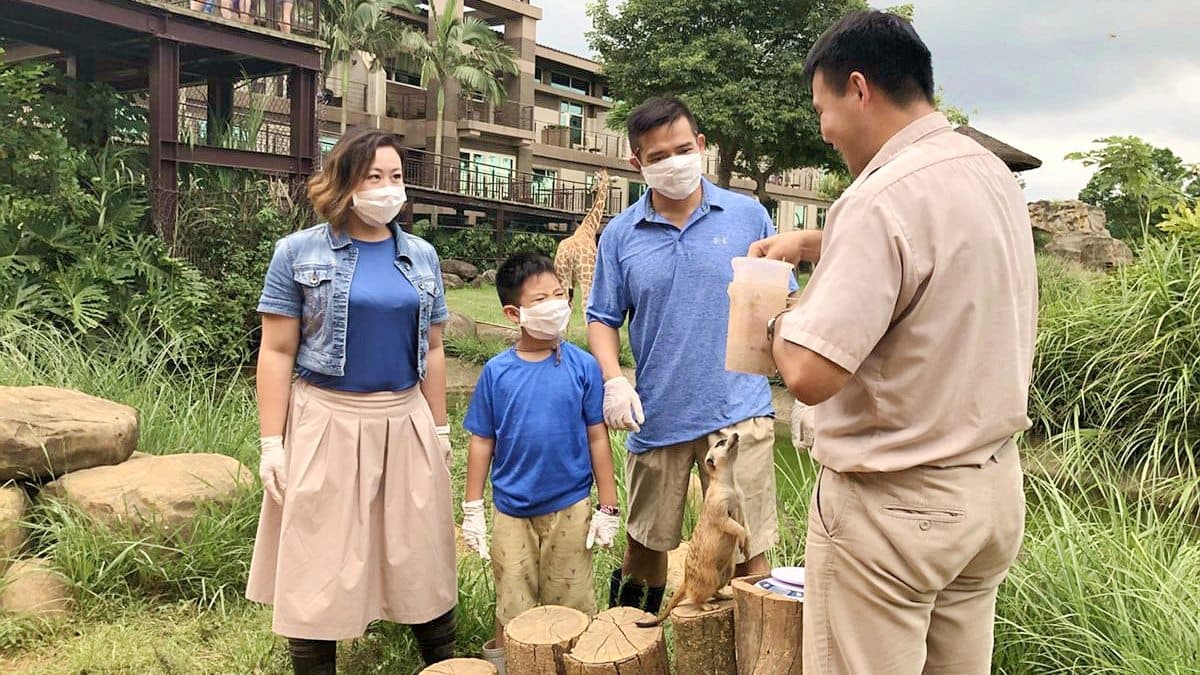 住飯店和「狐獴 」近距離接觸!可以看動物的這家飯店推住房優惠了 住飯店和「狐獴 」近距離接觸!可以看動物的這家飯店推住房優惠了