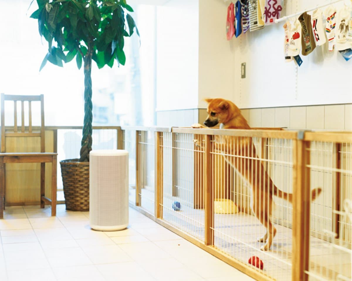 【新發現】無印良品「夏日生活」提案推5種生活選物 #質感 #涼爽 【新發現】無印良品「夏日生活」提案推5種生活選物 #質感 #涼爽