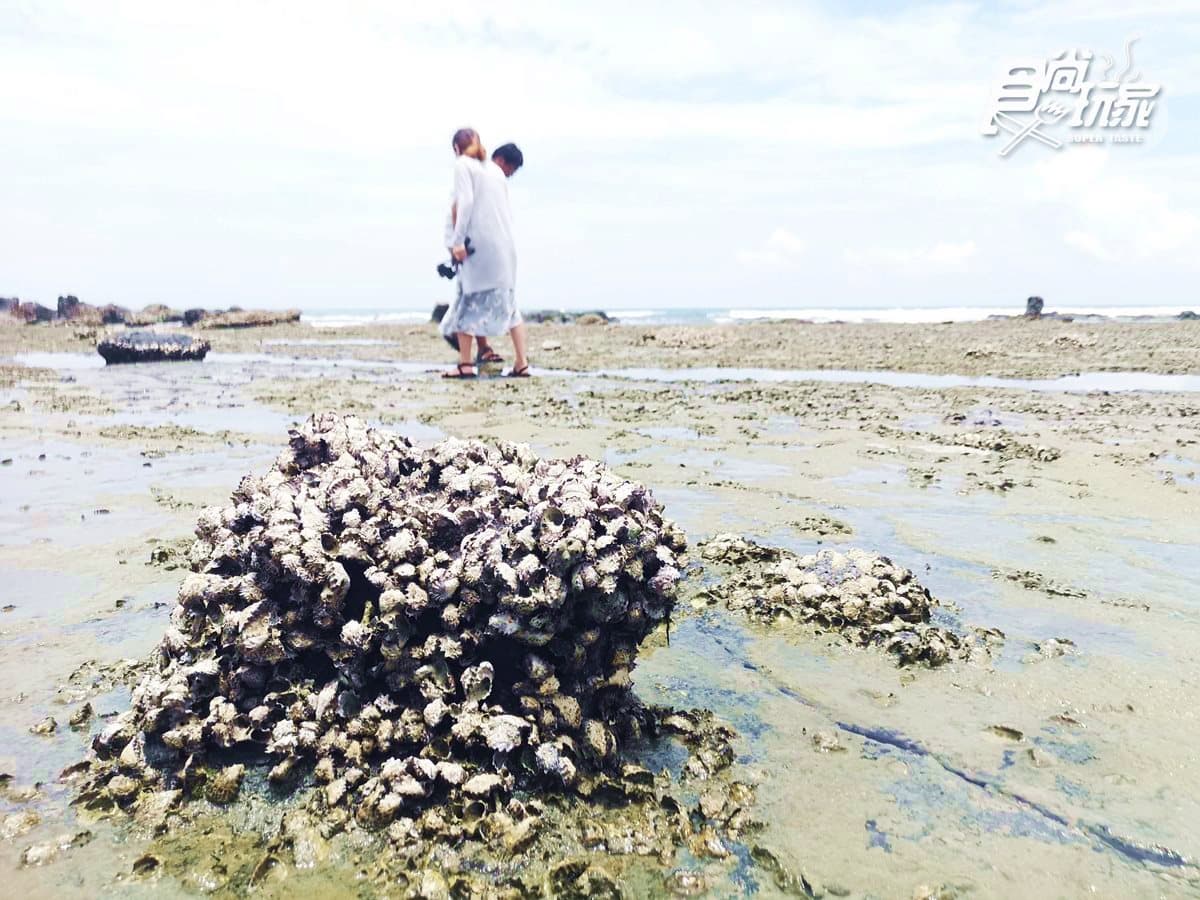 玩家大推!澎湖7個私房行程:祕境海灘露營車、美拍藍洞、海底漫步 玩家大推!澎湖7個私房行程:祕境海灘露營車、美拍藍洞、海底漫步