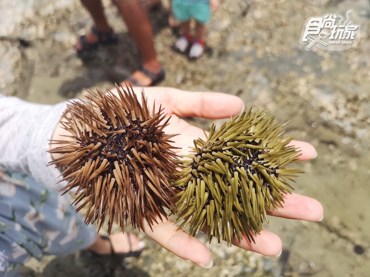 玩家大推!澎湖7個私房行程:祕境海灘露營車、美拍藍洞、海底漫步 玩家大推!澎湖7個私房行程:祕境海灘露營車、美拍藍洞、海底漫步