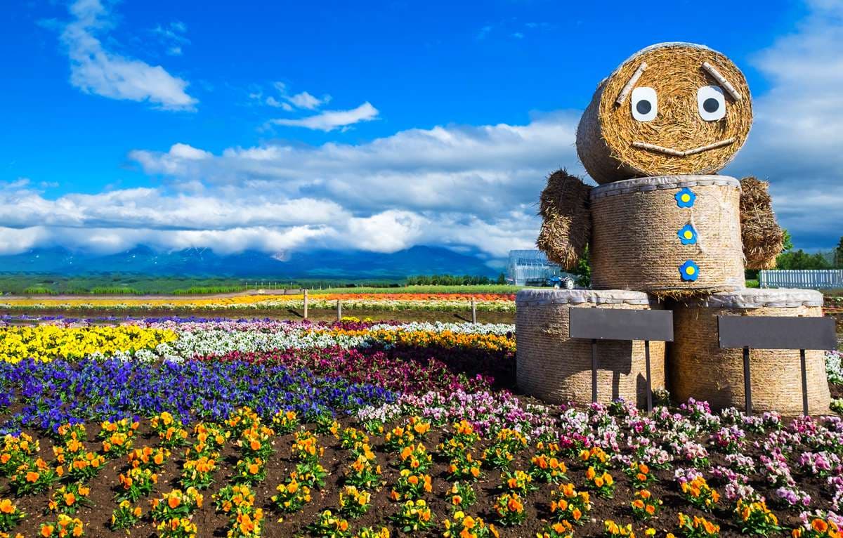 小猴魏華萱帶路 日本自行車美景路線輕鬆騎 富良野賞花 河口湖兜風 小猴魏華萱帶路 日本自行車美景路線輕鬆騎 富良野賞花 河口湖兜風