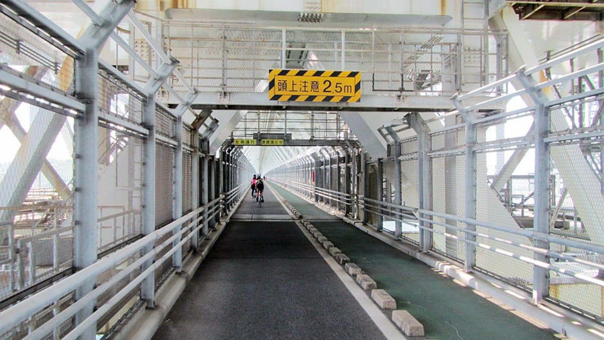 小猴魏華萱帶路 日本自行車美景路線輕鬆騎 富良野賞花 河口湖兜風 小猴魏華萱帶路 日本自行車美景路線輕鬆騎 富良野賞花 河口湖兜風