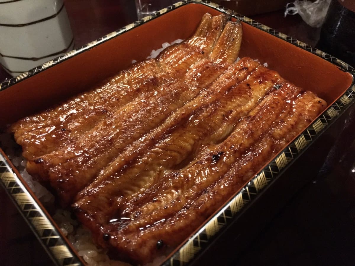 資深美食家大推!高CP值午間限定丼飯這3家:雞肉串燒、香烤鰻魚、炸彈豬排 資深美食家大推!高CP值午間限定丼飯這3家:雞肉串燒、香烤鰻魚、炸彈豬排