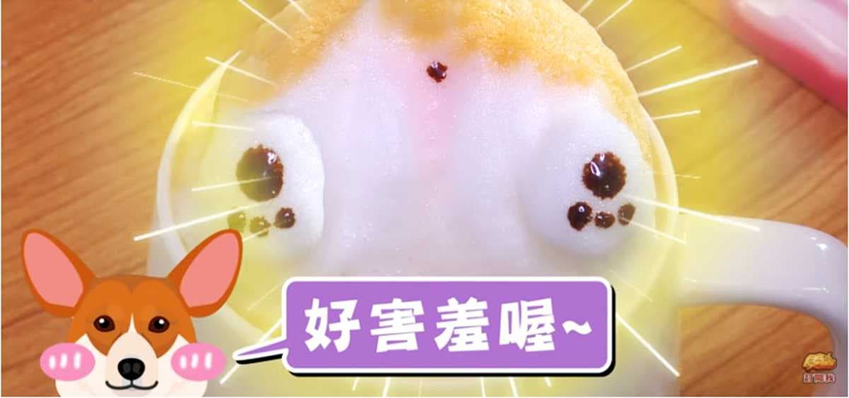 《不推怎麼行》超萌立體拉花!短腿柯基翹屁屁、一杯9隻貓咪跟你打招呼 《不推怎麼行》超萌立體拉花!短腿柯基翹屁屁、一杯9隻貓咪跟你打招呼