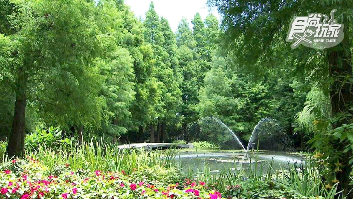 被落羽松包圍的玻璃屋超浪漫!這家庭園咖啡館好吃好拍又好玩 被落羽松包圍的玻璃屋超浪漫!這家庭園咖啡館好吃好拍又好玩
