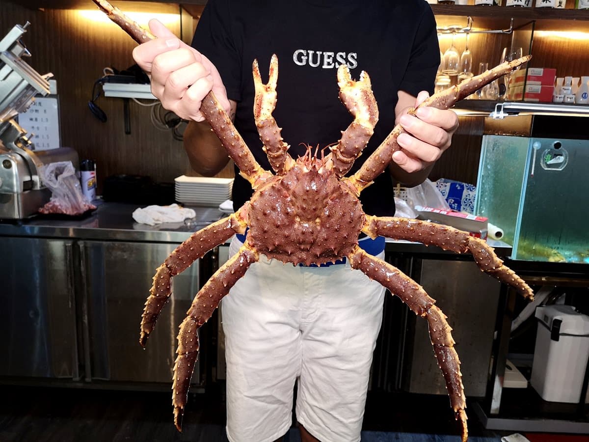 【食尚獨家】霸氣「帝王蟹痛風鍋」板前烤台開吃!生魚片船、手掌大生蠔好驚人 →官網留言送餐券免費吃 【食尚獨家】霸氣「帝王蟹痛風鍋」板前烤台開吃!生魚片船、手掌大生蠔好驚人 →官網留言送餐券免費吃