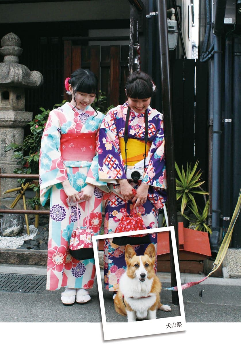 1人1犬祕遊日本!「犬山祭」看3層花車遊街,神社買犬用御守 1人1犬祕遊日本!「犬山祭」看3層花車遊街,神社買犬用御守